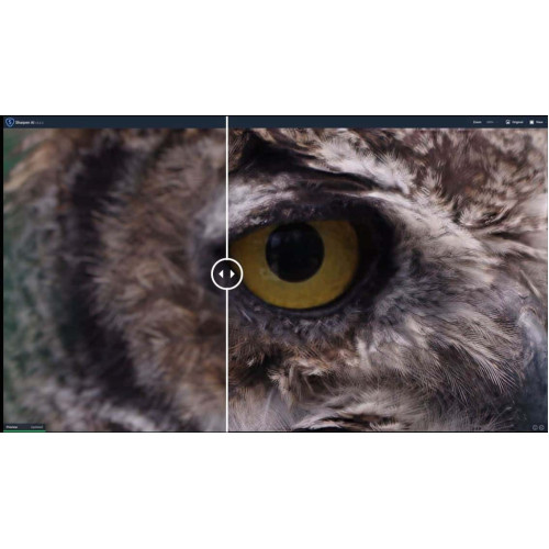 Встановлення Topaz Photo AI